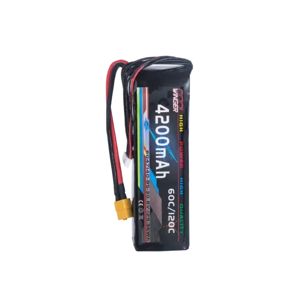 WES 6S LiPo Drone Battery Pack 4200mAh