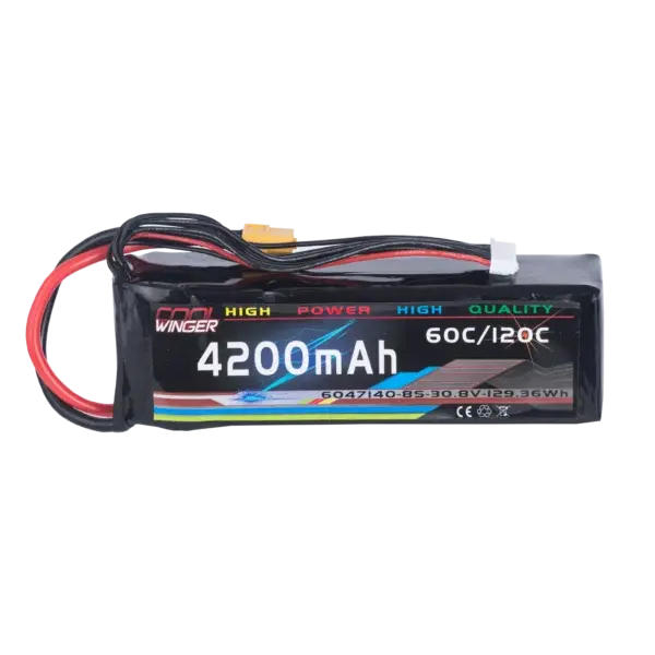 WES 6S LiPo Drone Battery Pack 4200mAh - Image 2