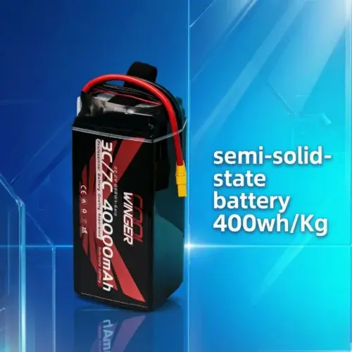 Solid State Battery
