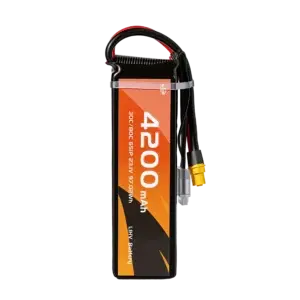 WES 6S LiPo Drone Battery Pack 4200mAh