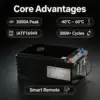 24V Cranking & Auxiliary Lithium Battery: High-Performance Starting & Parking Power | WES Battery